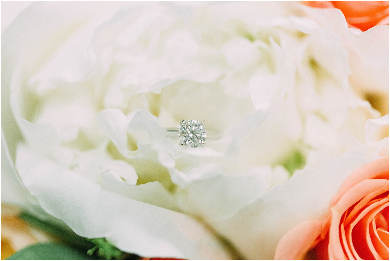 View More: https://kelseyarrowood.pass.us/christineanddrewswedding