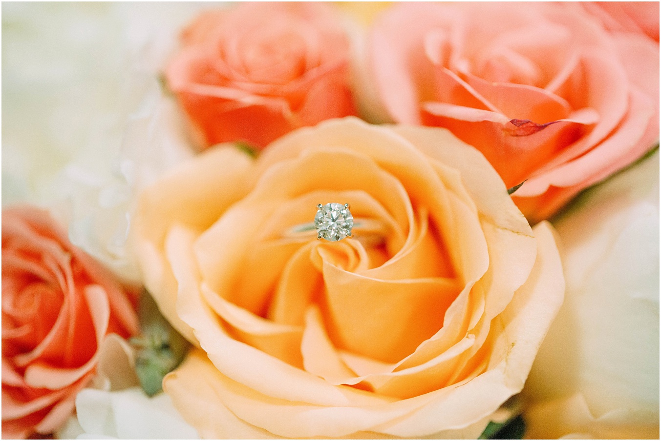 View More: https://kelseyarrowood.pass.us/christineanddrewswedding