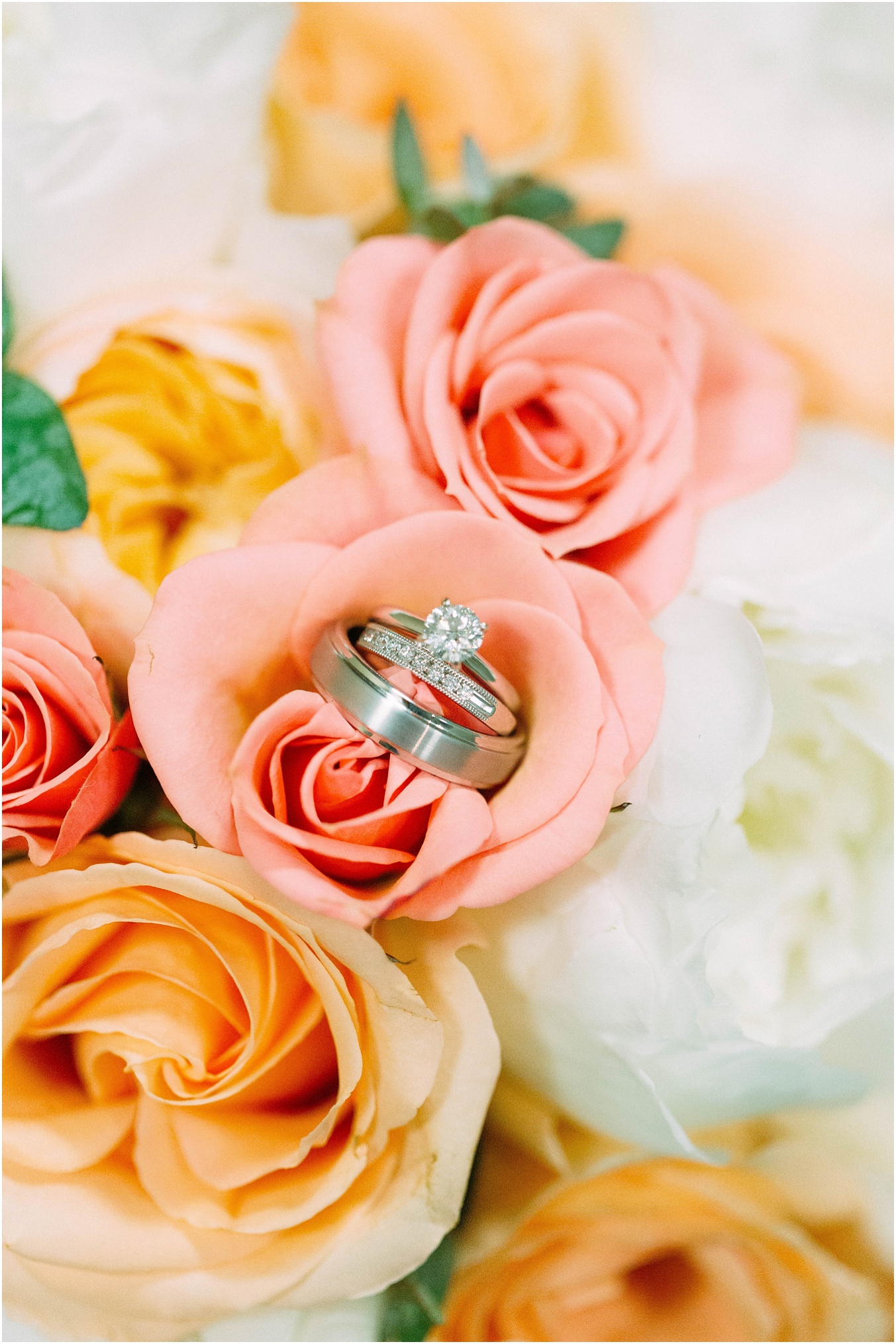 View More: https://kelseyarrowood.pass.us/christineanddrewswedding