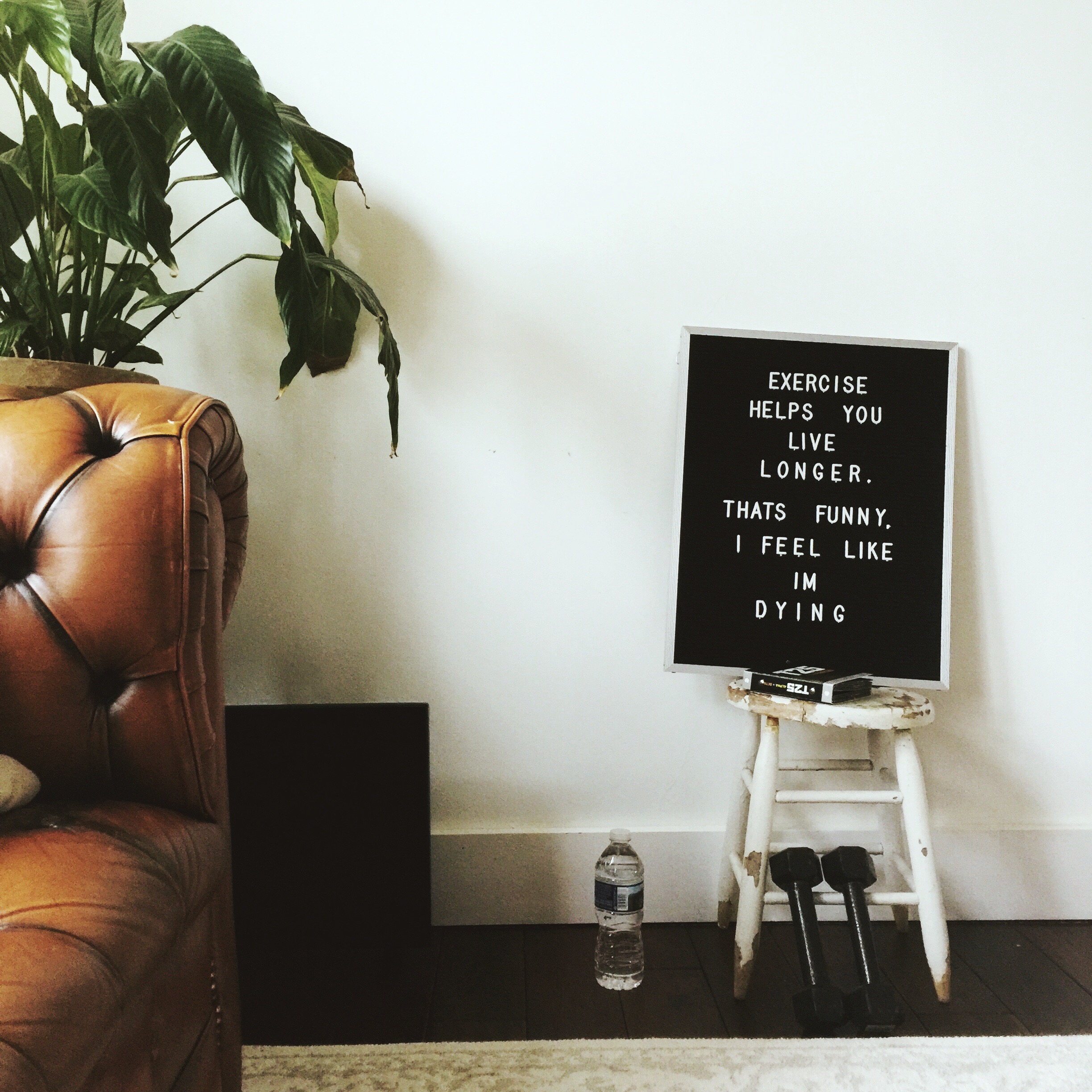 Processed with VSCO with m3 preset